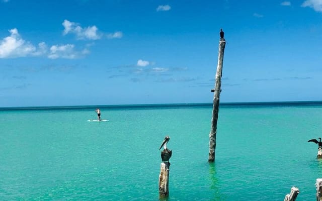 3 Islands tour Holbox . (Yalahau and more) photo 9