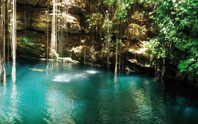 Tour Chichen Itza, Cenotes and Valladolid (no hidden fees) photo 10