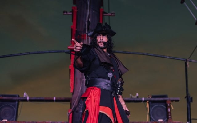 Pirate Marigalante Boat Show in Puerto Vallarta with Dinner photo 7