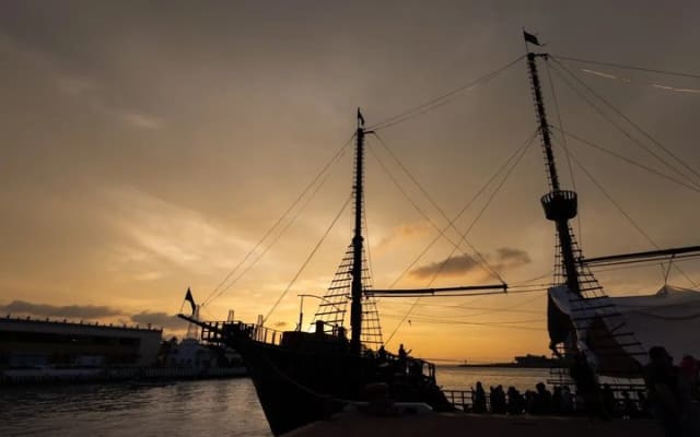 Pirate Marigalante Boat Show in Puerto Vallarta with Dinner photo 11