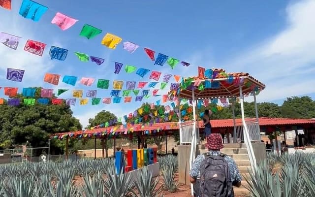 2 Days Tequila Road Trip from Puerto Vallarta photo 2