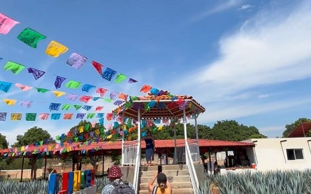 2 Days Tequila Road Trip from Puerto Vallarta photo 3