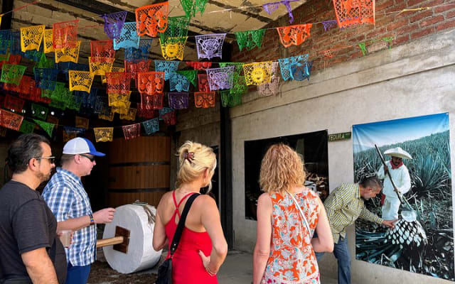 2 Days Tequila Road Trip from Puerto Vallarta photo 15