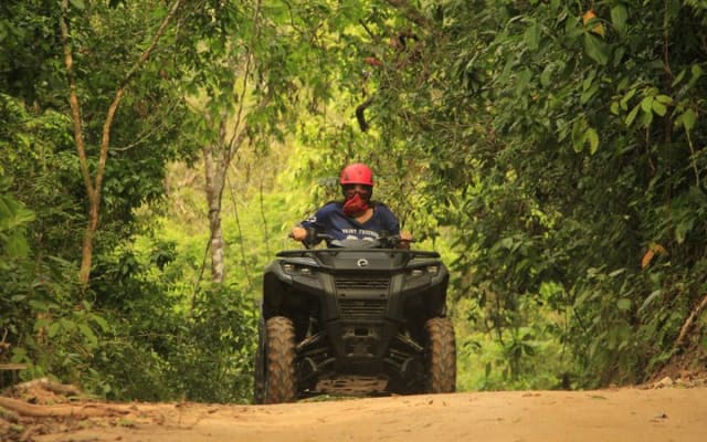 Explore the Jungle by off-road vehicle photo 4