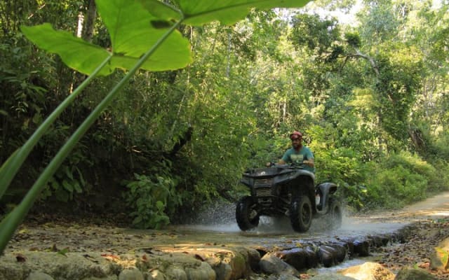 Explore the Jungle by off-road vehicle photo 6