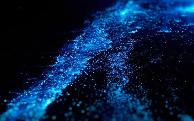 Kayaking Bioluminescence Tour Under the Stars at Holbox photo 2