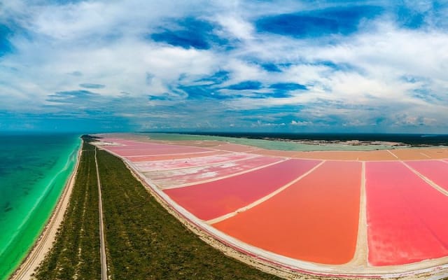 Private tour at Rio Lagartos & Las Coloradas