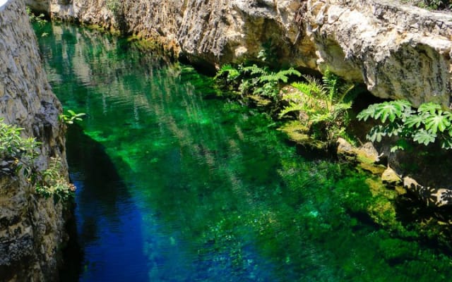 Tulum Cenote Tour 5 Cenotes and Awaken Your Senses photo 8