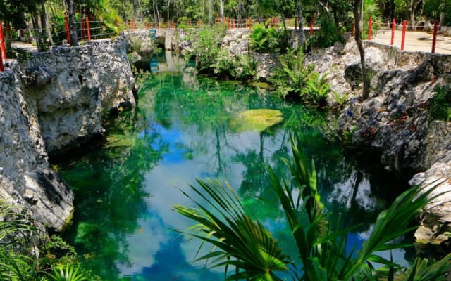 Tulum Cenote Tour 5 Cenotes and Awaken Your Senses photo 14