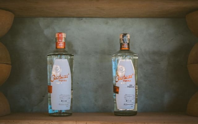 Cachasol Tequila Tasting Experience photo 5