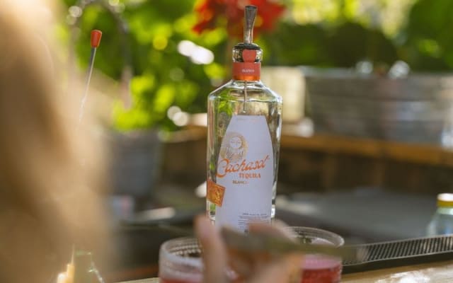 Cachasol Tequila Tasting Experience photo 7