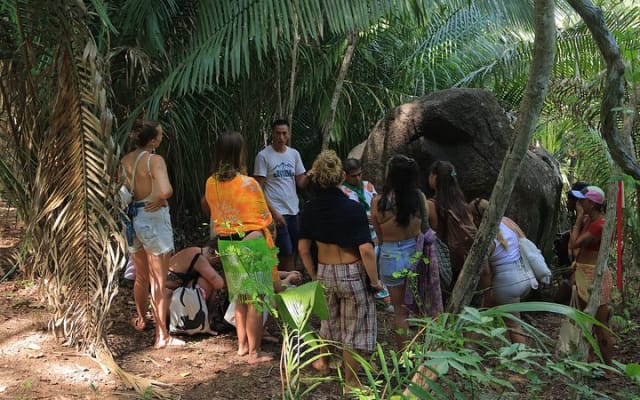 Experiencia de senderismo biocultural photo 10