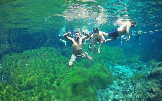 Muyil Tour and Cenote Swim Explore Ancient Ruins and Nature photo 7