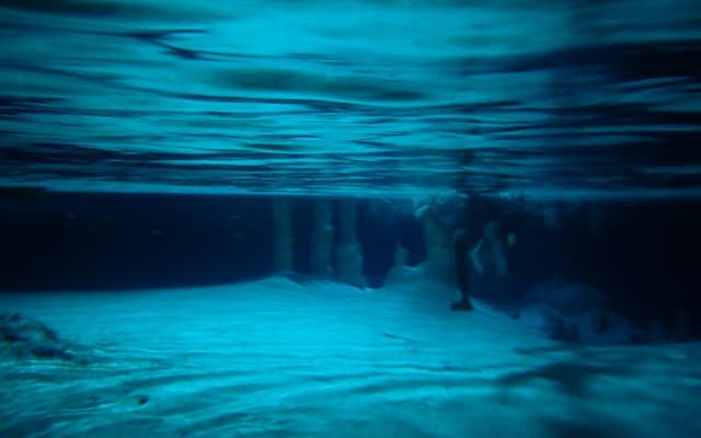 Private Tour to Sac Actun Cenote and Tacos in Tulum photo 4