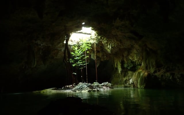 Private Tour to Sac Actun Cenote and Tacos in Tulum photo 7