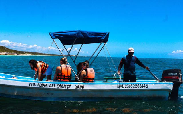Discover Tulum from the Sea and Swim with Turtles photo 5