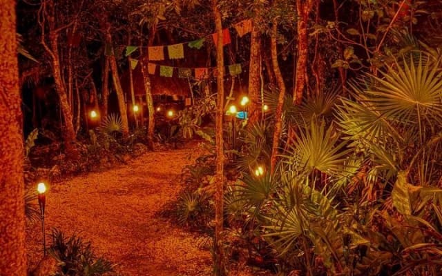 Night of Legends Cenotes Mayan Culture Adventure and Nature photo 5