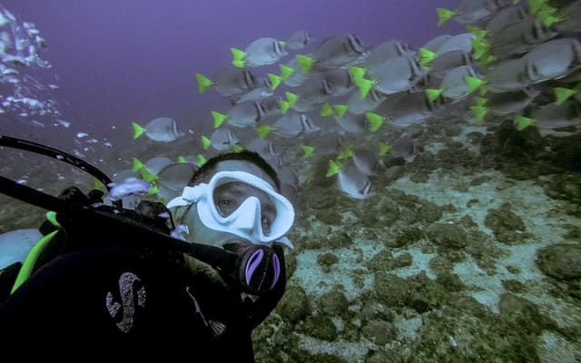 Buceo en grupo pequeño en Los Arcos desde Sayulita photo 8