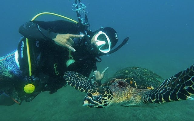 Buceo en grupo pequeño en Los Arcos desde Sayulita photo 5