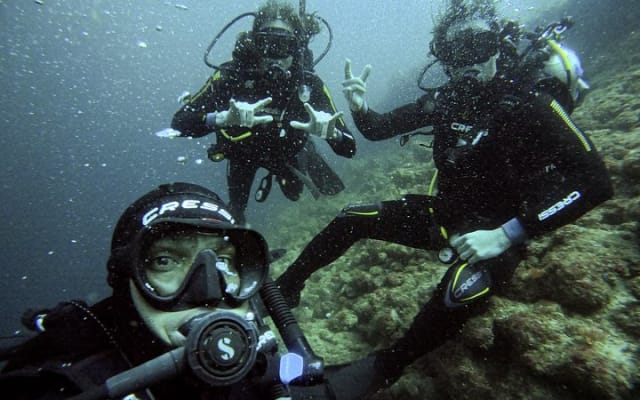 Buceo en grupo pequeño en Los Arcos desde Sayulita photo 7