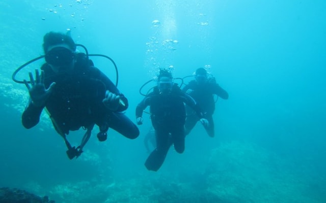 Buceo en grupo pequeño en Los Arcos desde Sayulita photo 15