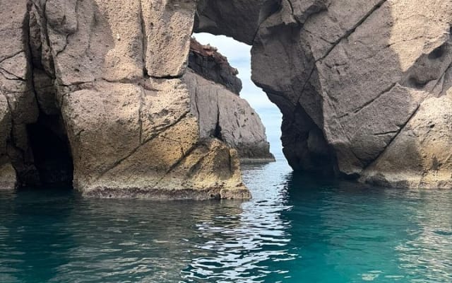 Swimming with Sea Lions in Espíritu Santo Island, La Paz, Mexico photo 8