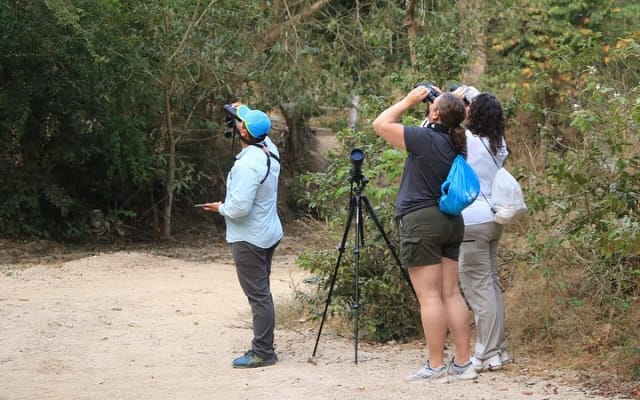 Observation des oiseaux et expérience chocolat dans la Sierra Vallejo photo 14
