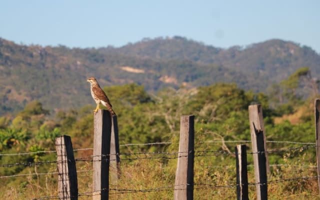 Observation des oiseaux et expérience chocolat dans la Sierra Vallejo photo 11