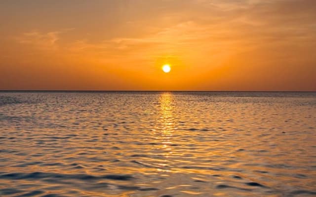 Holbox mangrove kayak tour photo 6