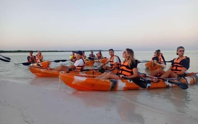 Holbox mangrove kayak tour photo 11