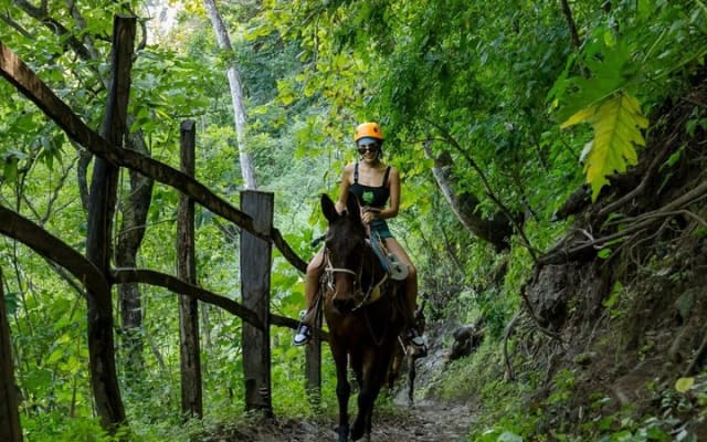 Combo ATV, pont Jorullo + tyrolienne et balade à dos de mule photo 10