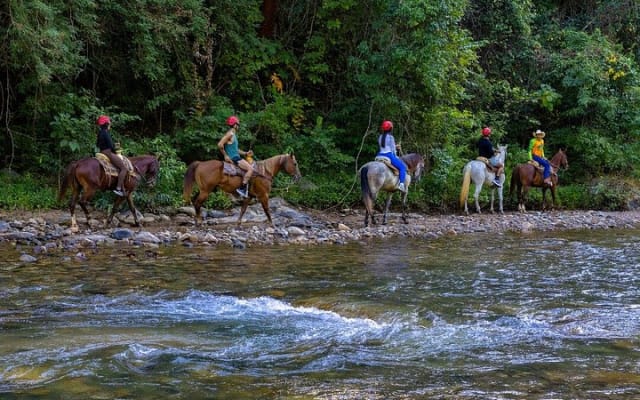 Sierra Madre Horseback Riding Tour photo 5