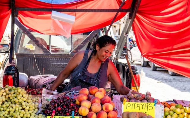 Visite gastronomique Taste of Pitillal par Vallarta Food Tours photo 6