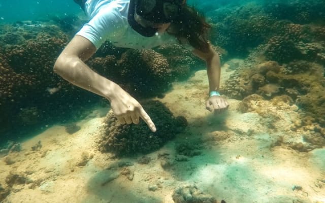 Private 51ft Yacht Tour Snorkeling at Los Arcos and Yelapa photo 10