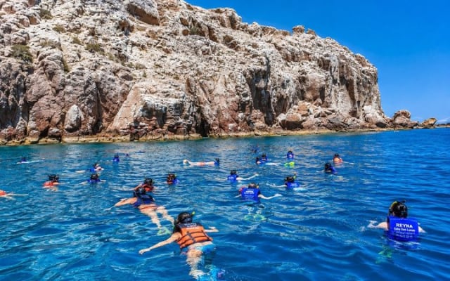 Isla Espíritu Santo and Balandra Beach Tour with Sea Lion Colony