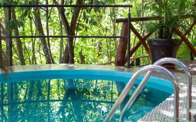 RZR or ATV Tour in Puerto Vallarta with Tequila and Natural Pool. photo 11
