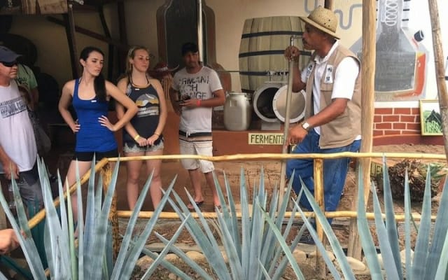 Tirolesa en El Edén en Puerto Vallarta con tequila photo 4