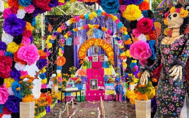 Inmersión en el Día de Muertos photo 2