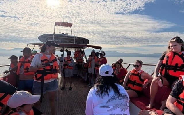 Excursion d'observation des baleines avec biologiste marin à Puerto Vallarta photo 10