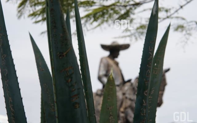 Tour al Lago de Chapala y al Pueblo Mágico de Ajijic desde Guadalajara photo 5