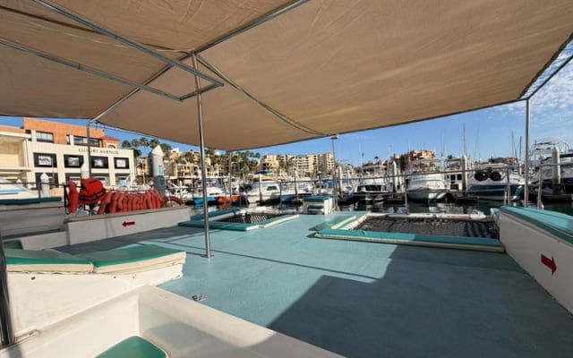 Sunset Cruise with Unlimited Drinks and Snacks. Cabo San Lucas photo 5