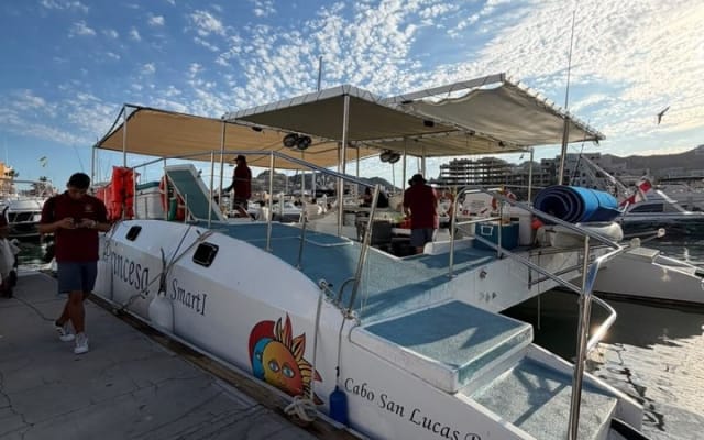 Sunset Cruise with Unlimited Drinks and Snacks. Cabo San Lucas photo 9