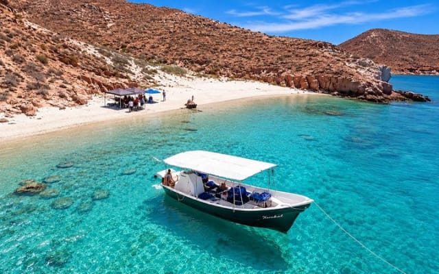 Espiritu Santo Island Tour with Sea Lion Snorkeling