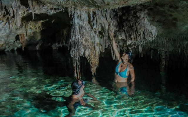 The Cenote Snorkeling Experience in Tulum photo 3