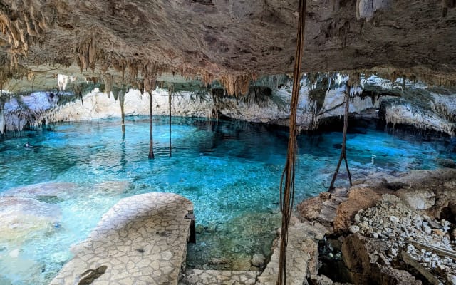 The Cenote Snorkeling Experience in Tulum photo 6
