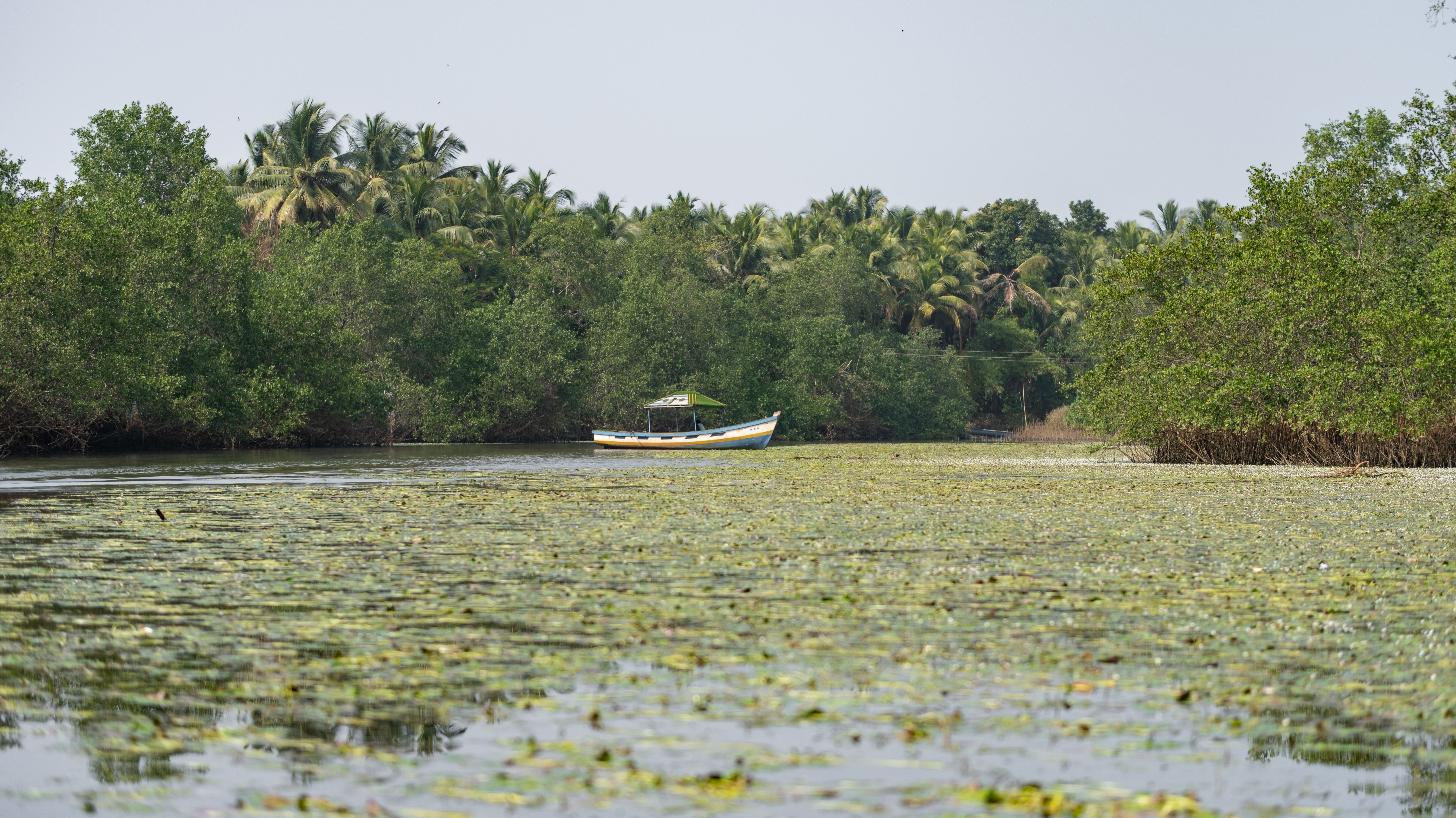 Small boat heading out to the Caribbean reef from Tulum's Zona Hotelera at dawn