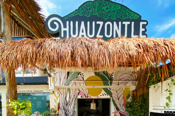 Fonda Huauzontle