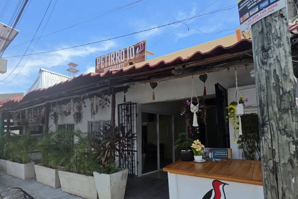 Petirrojo Tulum