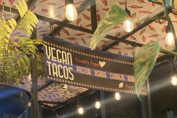 Dog does not eat Dog Vegan Street Food