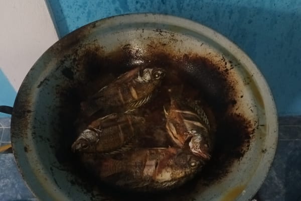 Tacos de guisados erika